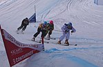 Vignette pour Ski cross