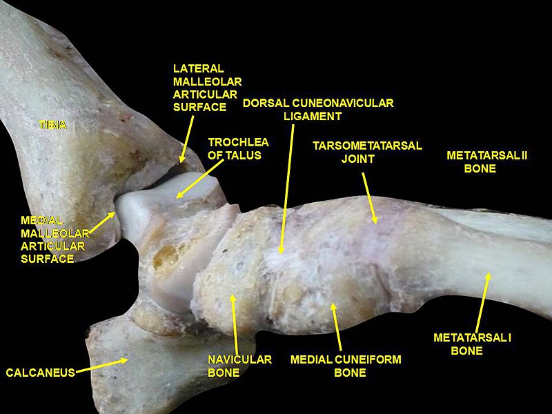 File:Slide2CEC1.JPG