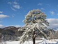 2012年2月23日 (木) 02:13時点における版のサムネイル