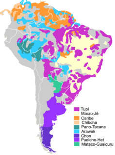 Indigenous languages of South America