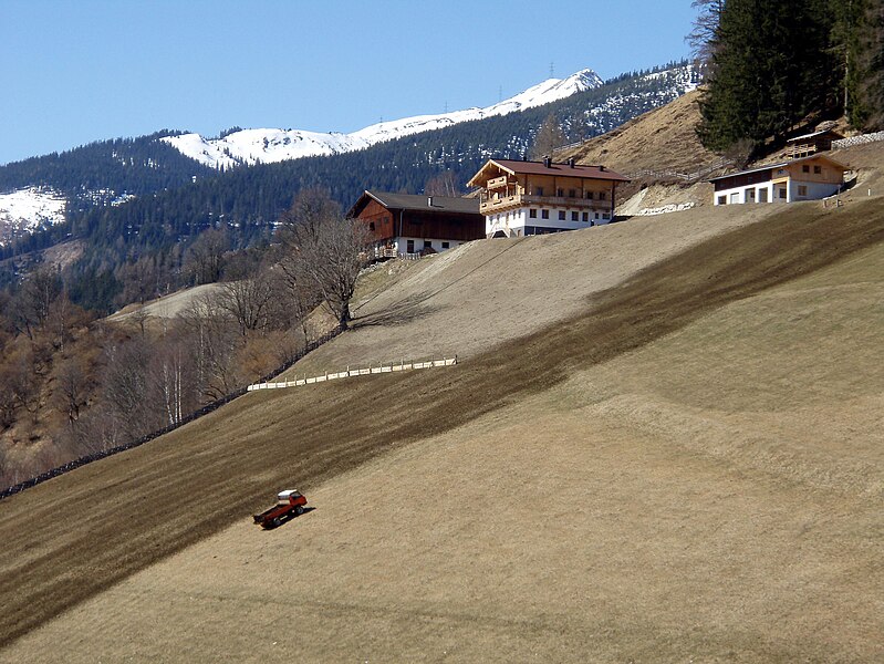 File:Stallmistdüngung einer Bergwiese in Niedernsill 8.jpg