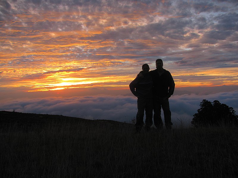 File:Starr-121001-0607-Eucalyptus sp-habit and sunset view West Maui with Kim and Forest-Crater Rd-Maui (24825087469).jpg