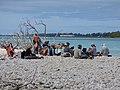 Starr-150402-0635-Tournefortia argentea-crew eating lunch-Spit Island-Midway Atoll (25247311776).jpg