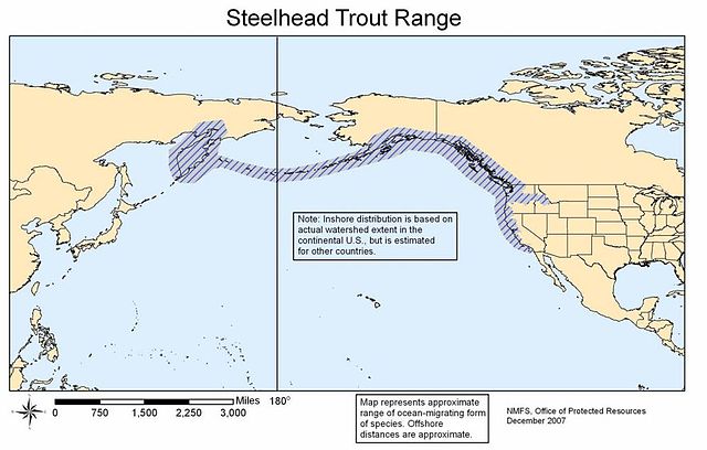 Map of native range of anadromous form-steelhead