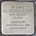 Stolperstein für Dr. Gezane Revesz (Abony) 01.jpg