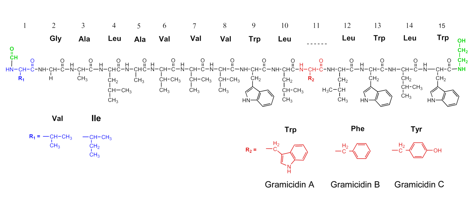 C file structure