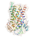 Thumbnail for Uncoupling protein