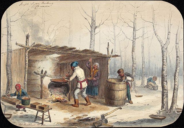 Sugar Making in Montreal, October 1852