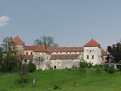 Свірж, Свірзький замок, Львівська область