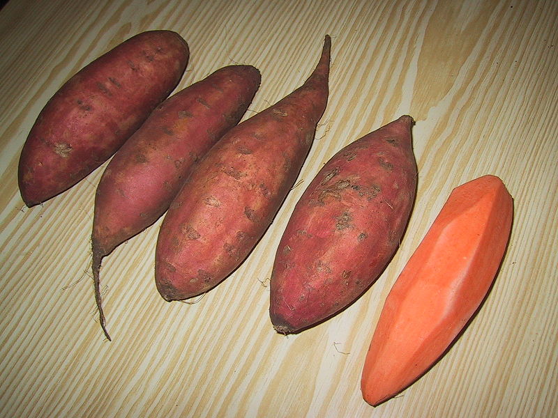 File:Sweet potatoes.JPG