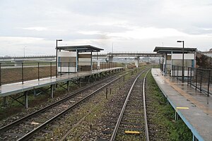 İstasyon platformları