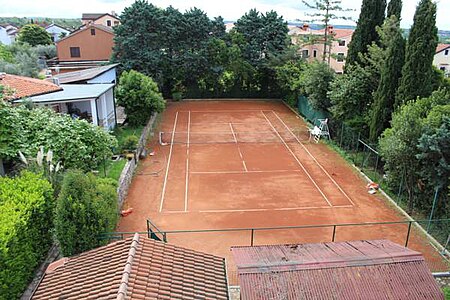 Tennis Court Murine