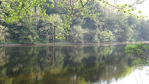 The Lake, Clapham Beck, Clapham, Yorkshire