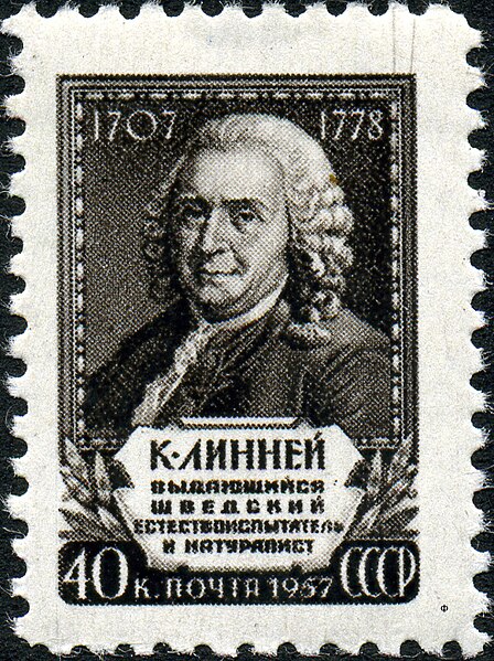 File:The Soviet Union 1958 CPA 2115 stamp (Carl Linnaeus).jpg