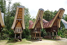 Tana Toraja in South Sulawesi, one of Destination Management Organization in Indonesia Toraja barns-1.JPG