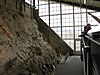 Visitors appreciating the Wall of Bones in the Dinosaur Quarry Visitor Center