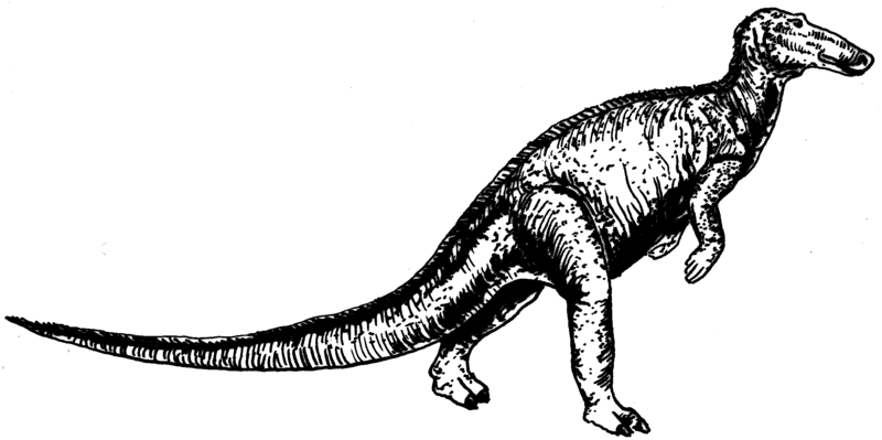 File:Trachodont (PSF).png