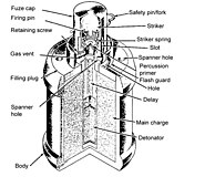 Cross-sectional view of a Japanese Type 99 grenade showing percussion primer.