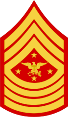 Marine Corps insignia(2020–present)[13]
