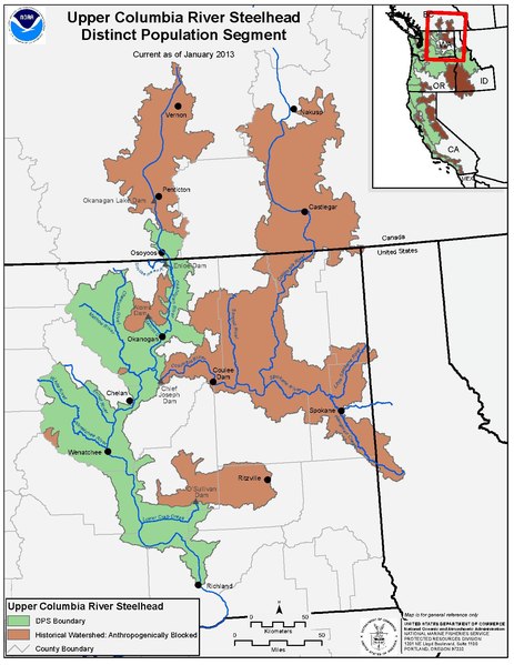 File:Ucr steelhead.pdf