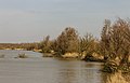 Uitzicht vanuit vogelkijkhut De Schollevaar. Locatie, Oostvaardersplassen.