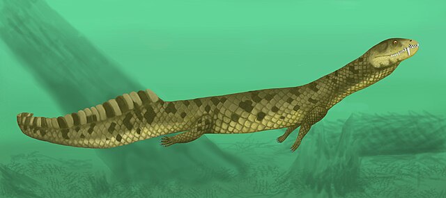 Life restoration of the aquatic Vancleavea campi