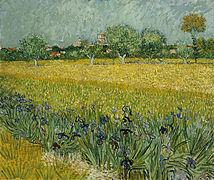 View of Arles with Irises in the Foreground