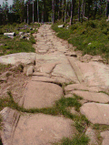 Vignette pour Histoire de la route en Gaule au haut Moyen Âge