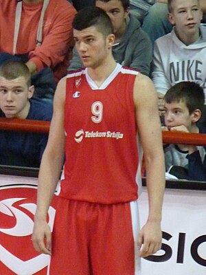 Vojislav Stojanović.jpg