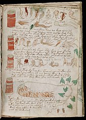 Page 175; f99r, of the pharmaceutical section Voynich Manuscript (175).jpg