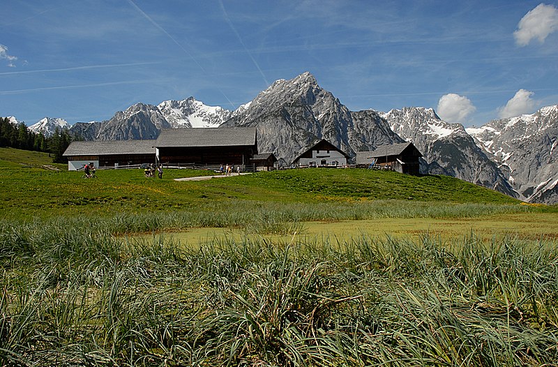 File:Walder Alm.JPG