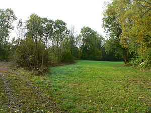 Burgstall Wasserburg Heldritt in Bad Rodach-Heldritt