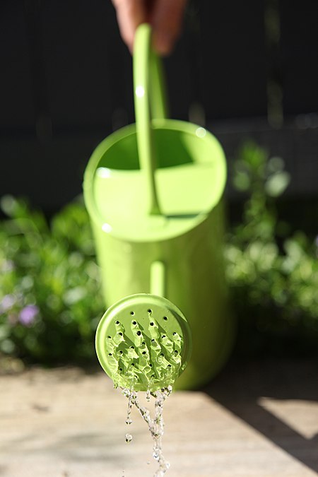 Watering-can-green.jpg