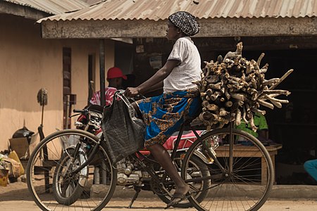 Woman transporting wood on a bicycle.jpg