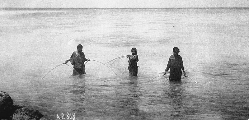 File:Women fishing with nets, Truk (1899-1900).jpg