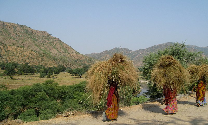 File:Working women in rajasthan countryside india.jpg