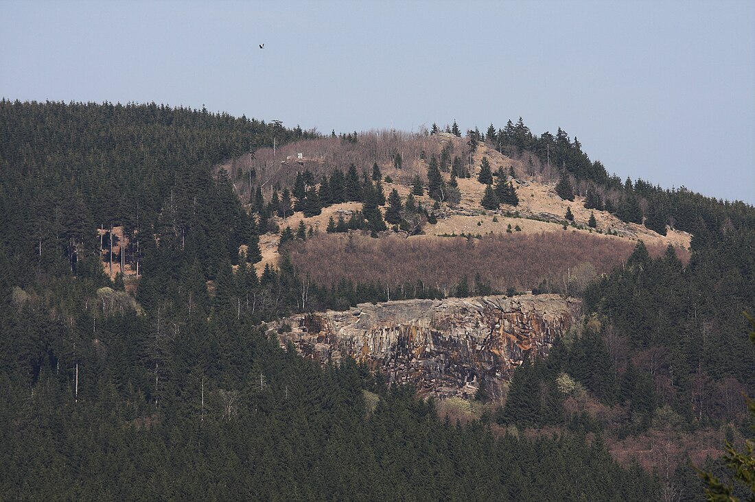 Wurmberg (Naturschutzgebiet)