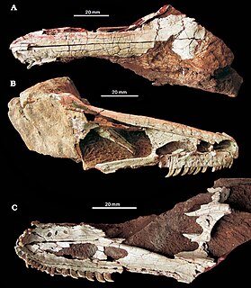 <i>Xixiasaurus</i> Genus of dinosaur