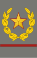 Cấp hiệu Nguyên soái Nam Tư dùng cho Lục quân, 1943-1947.