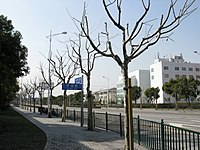 Shanghai Free-Trade Zone