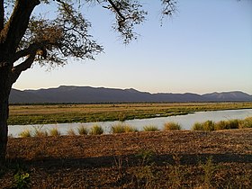 Illustrasjonsbilde av artikkelen Mana Pools National Park