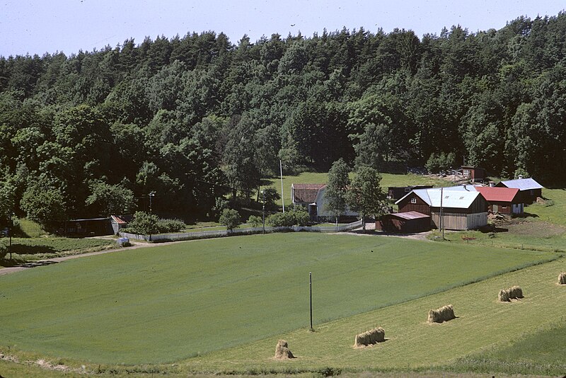 File:Årekärr, juli 1968 (2).jpg