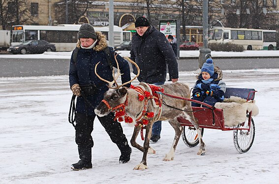 Masleniza in Sankt-Petersburg, Russland...