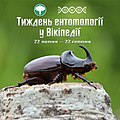 Мініатюра для версії від 11:31, 22 липня 2020