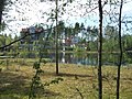 Lac marécageux, rive droite de la Sestra