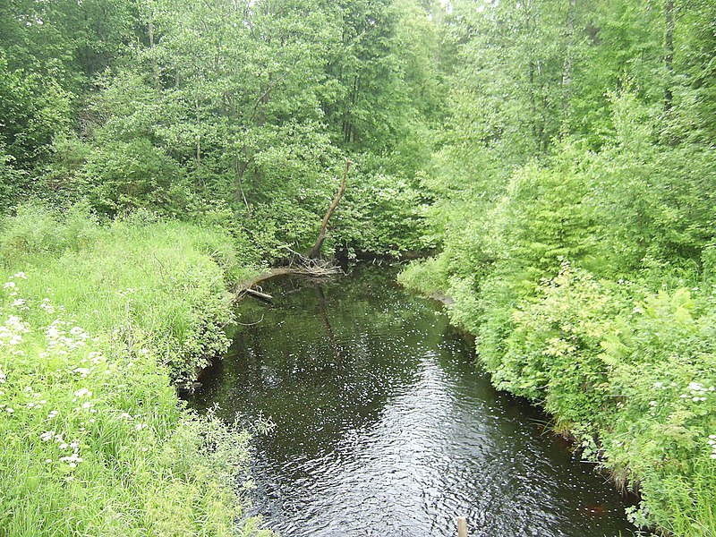 File:Река Плотиченка (The Plotichenka river) - panoramio (1).jpg