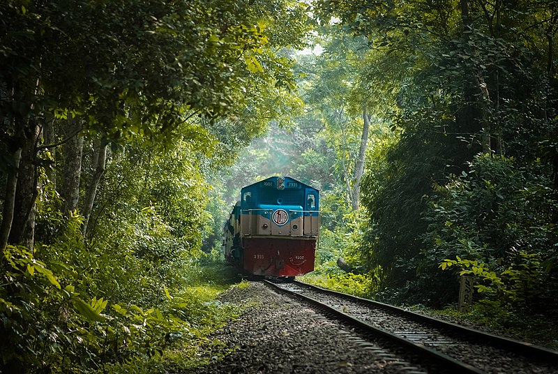 File:লাউয়াছড়া জাতীয় উদ্যানের মাঝ দিয়ে যাচ্ছে ট্রেন.jpg