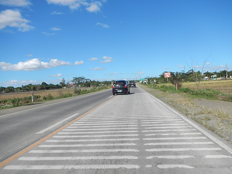 File:0169jfLandscapes Bypass House Arterial Road Plaridel Bustos Bulacanfvf 19.JPG