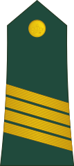 Sergent-major(Royal Moroccan Army)[31]