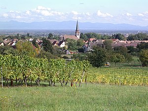 Habiter à Wuenheim